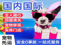 昭通机场托运国际宠物托运 【国
